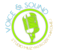 Voice & Sound Studio Muzyczne Rozrywkowej logo